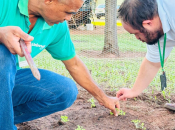 Unimed Andradina comemora Dia do Meio Ambiente com Horta Cooperativa 