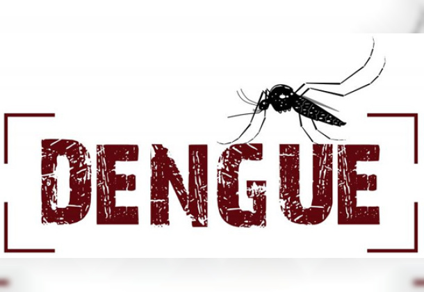 Dengue - Alerta!